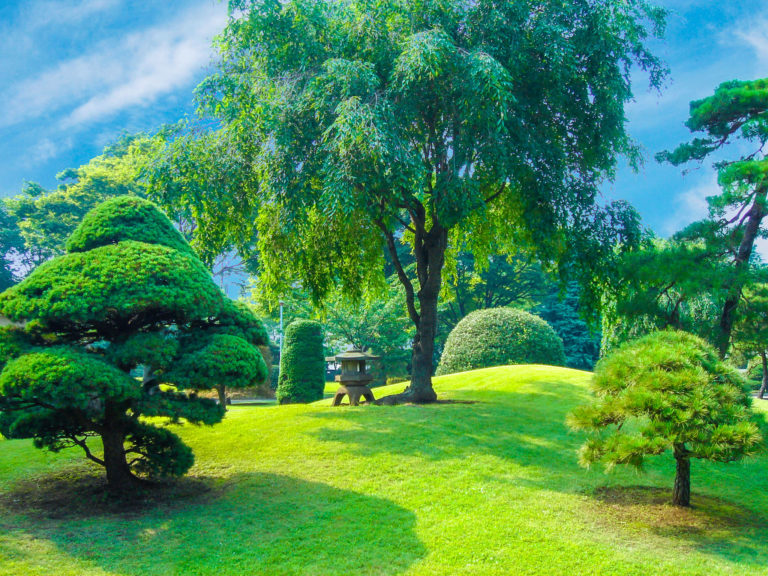 造園施工管理 法規編 改訂２７版/日本公園緑地協会/日本公園緑地協会（大型本） 造園施工管理 技術編 改訂27版/日本公園緑地協会/日本公園緑地